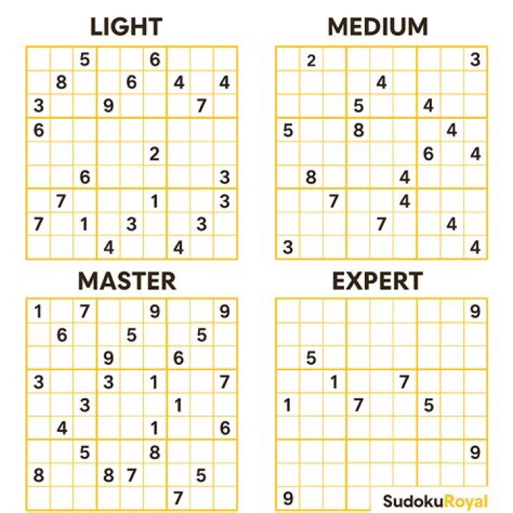 What does the word sudoku actually mean?