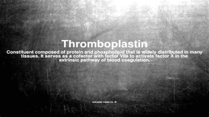 What does thromboplastin mean?