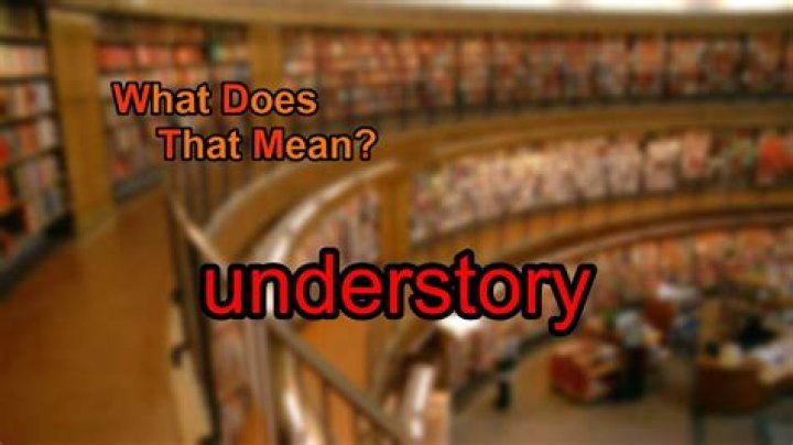 What does understory mean?