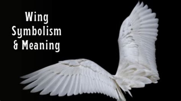 What does wing wing mean?
