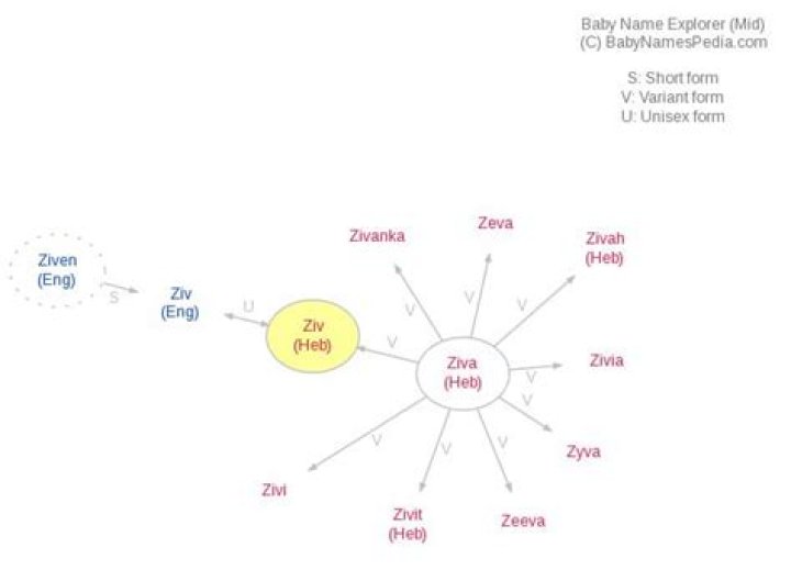 What does ziv mean?