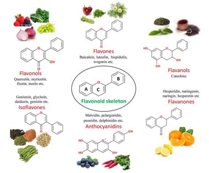 What foods contain flavonoids?
