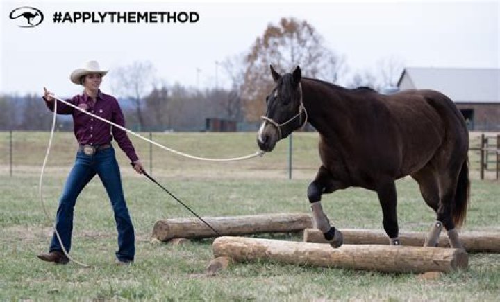 What happened to downunder horsemanship?