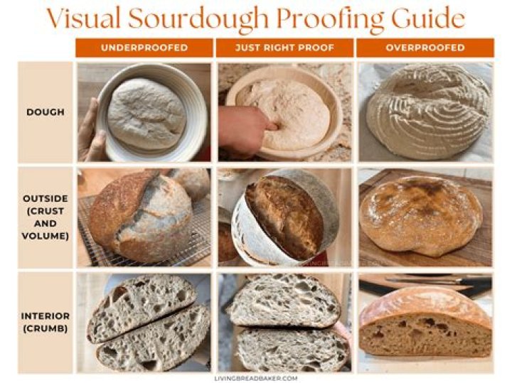 What happens to over proofed bread?