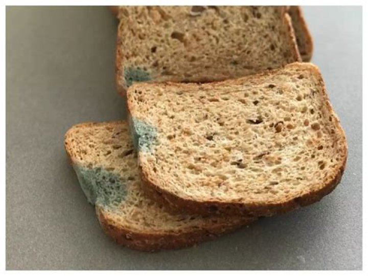 What happens when you eat moldy bread?