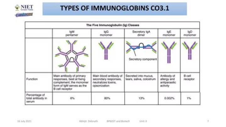What immunoglobulin crosses the placenta?
