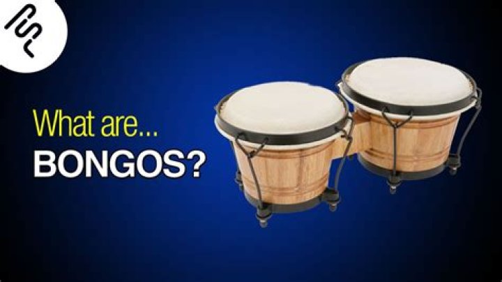What is a bongos?