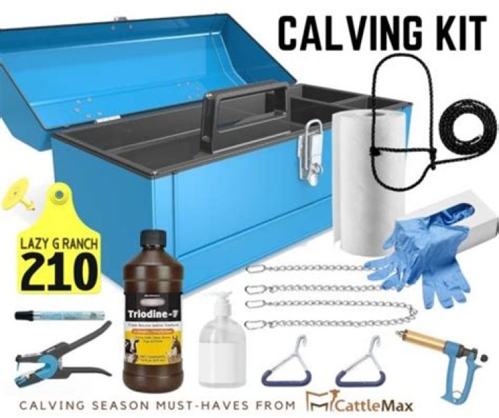 What is a calving?