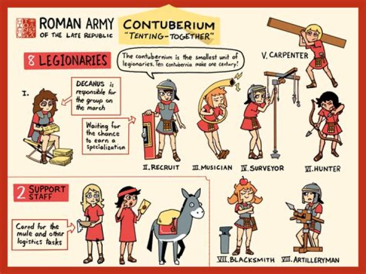 What is a contubernium in english?