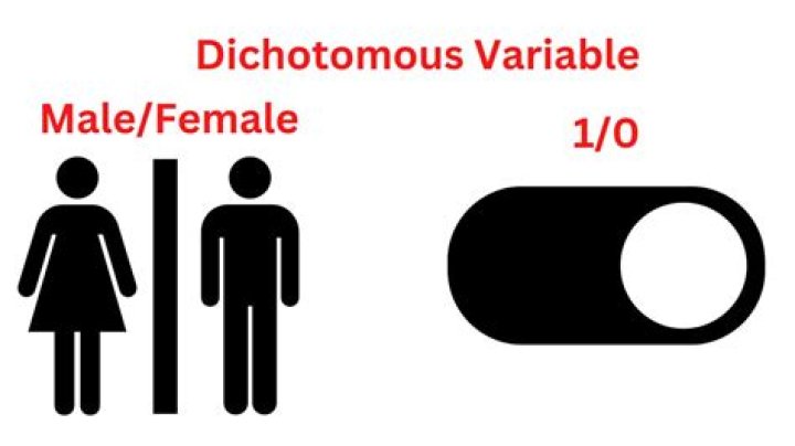 What is a dichotomous variable?