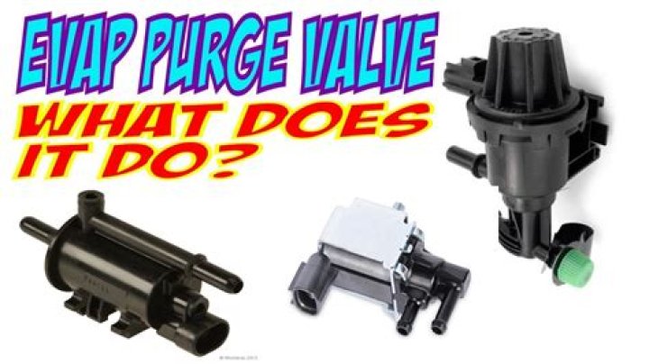 What is a evap purge valve?