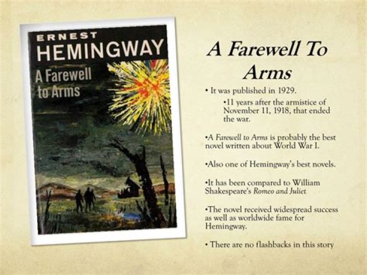 What is a farewell to arms about?