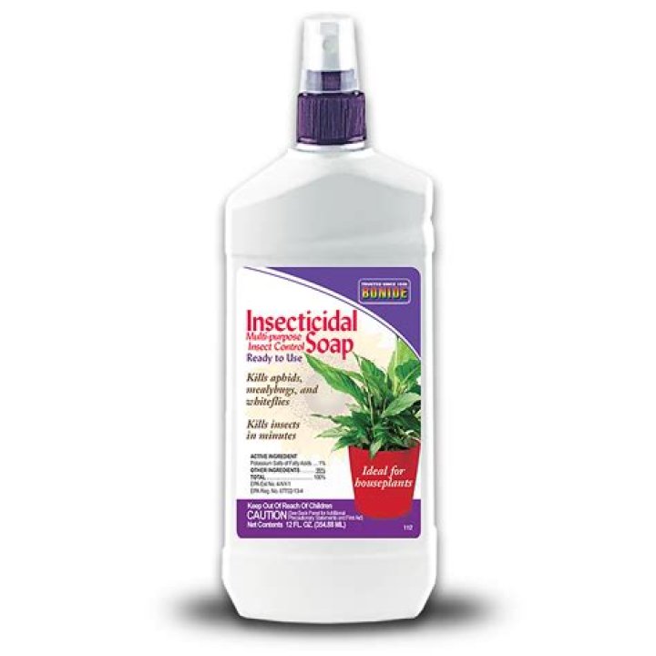 What is a good insecticidal soap?