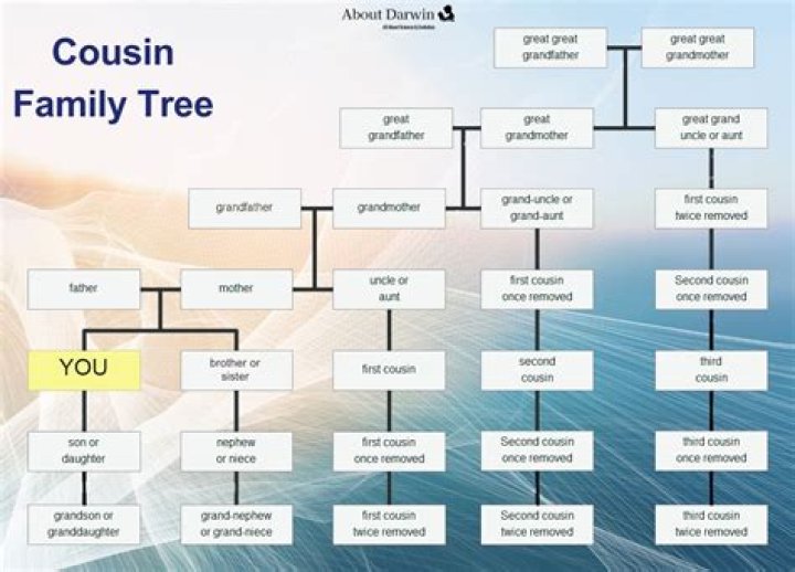 What is a half cousin once removed?