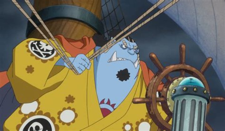 What is a helmsman one piece?