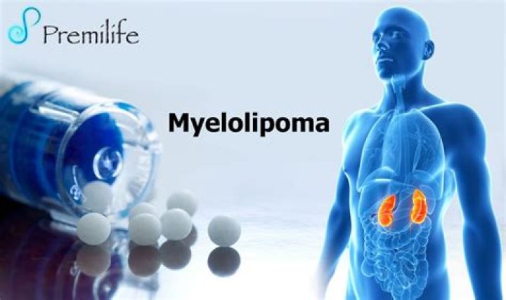 What is a myelolipoma?