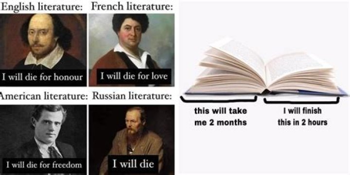What is a numskull in literature?