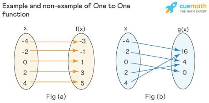 What is a one to one function?