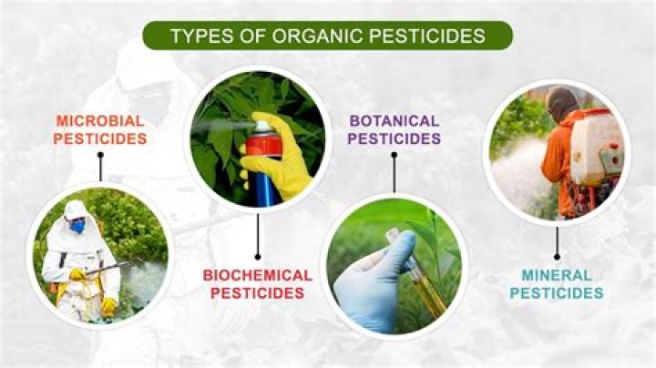 What is a pesticidal claim?