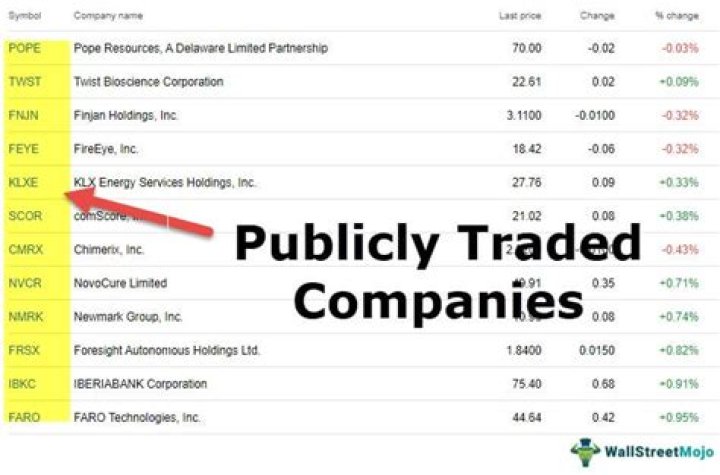 What is a publicly traded company?