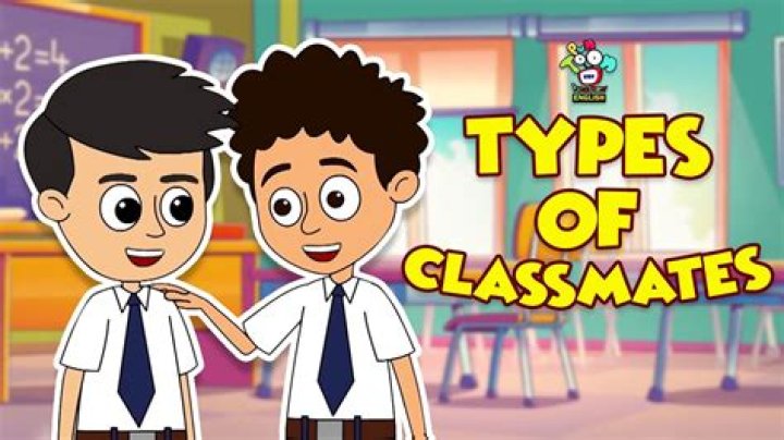 What is a school classmate?
