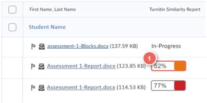 What is a similarity report?