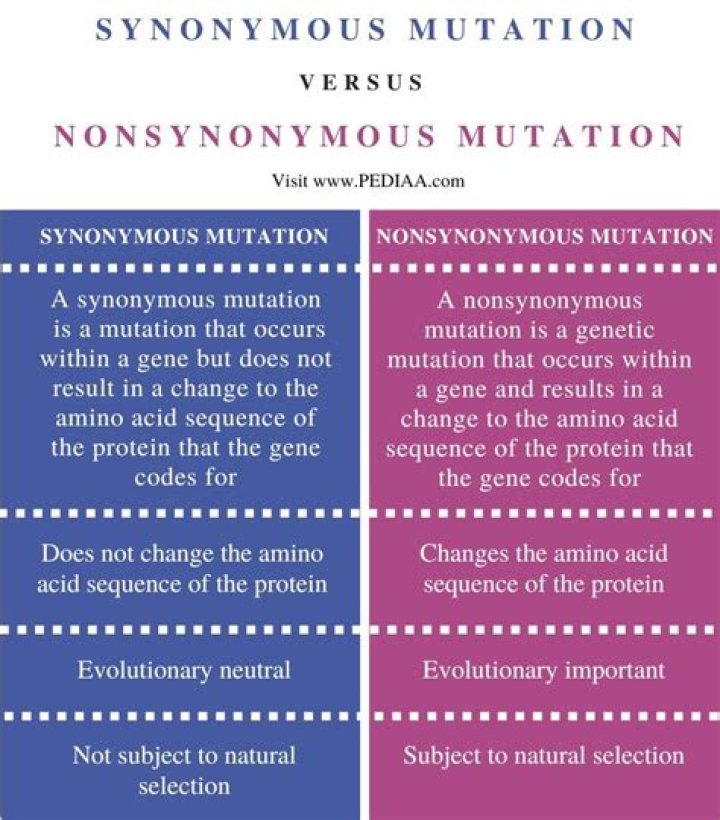 What is a synonymous mutation?