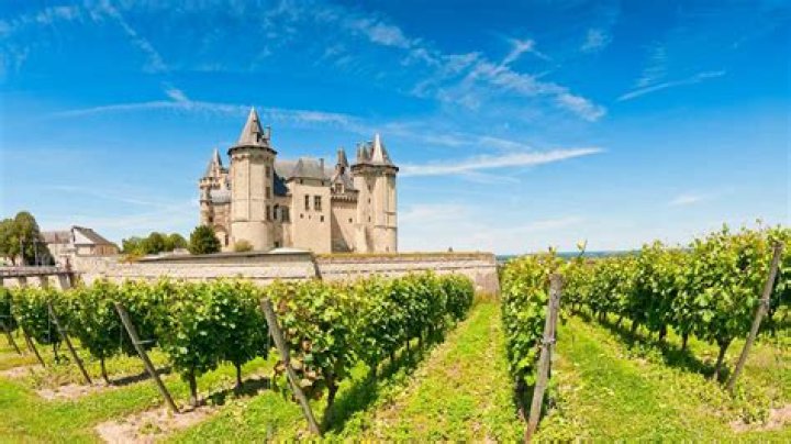 What is a vigneron in france?