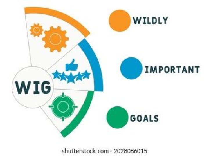 What is a wig wildly important goal?