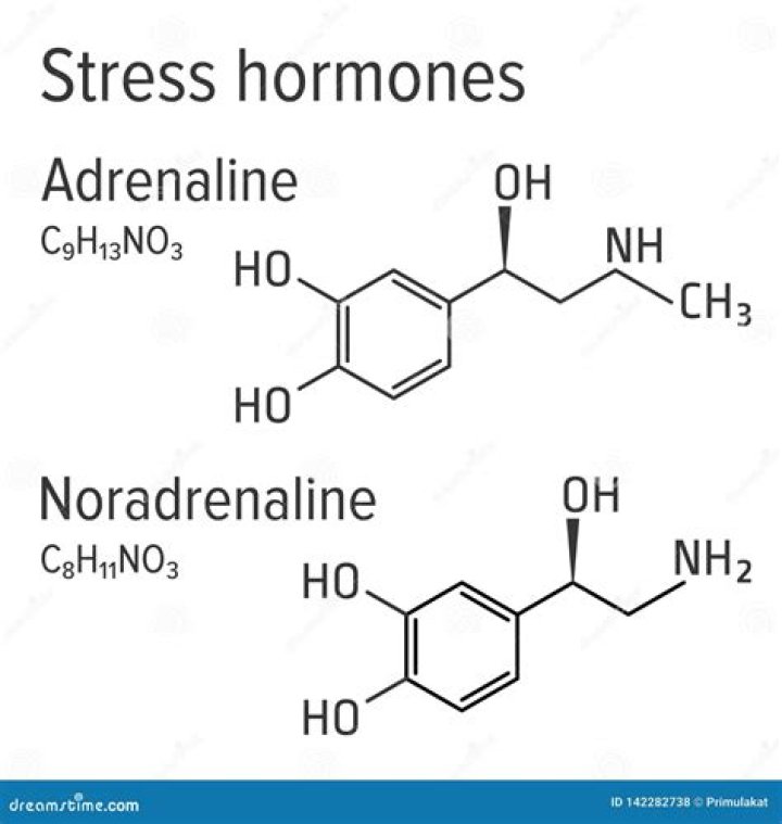 What is adrenalin and noradrenalin?