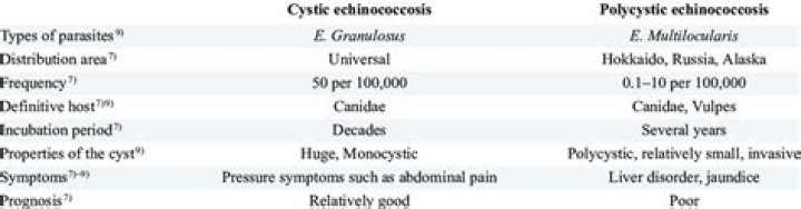 What is alveolar echinococcosis?