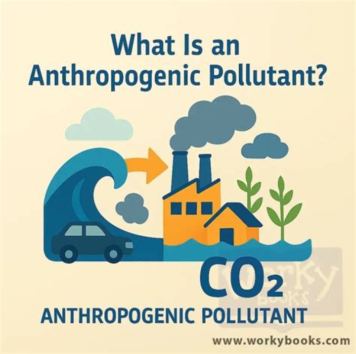 What is an anthropogenic?