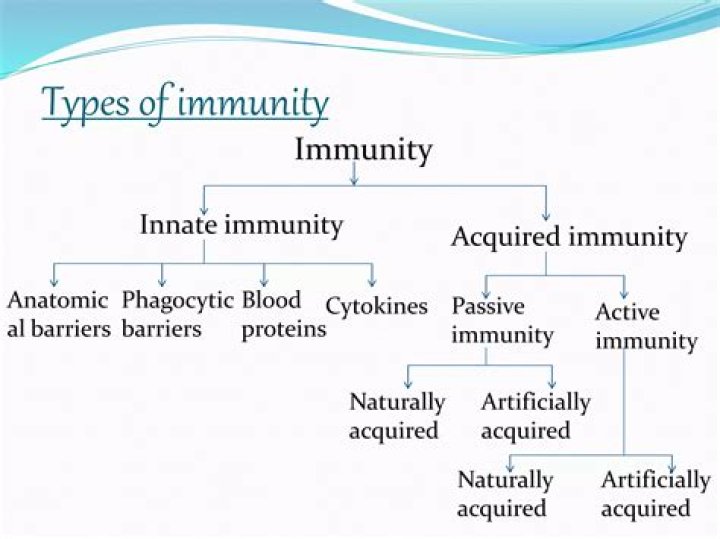 What is an example of artificially acquired active immunity?