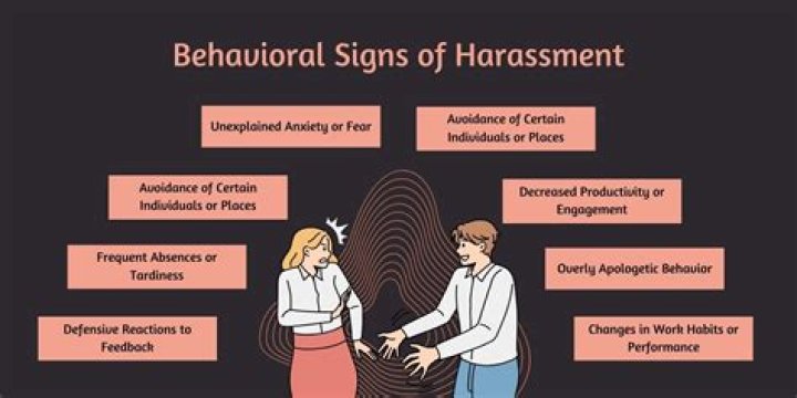 What is an harasser definition?