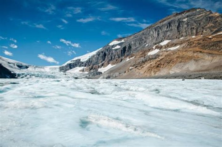 What is an ice field?