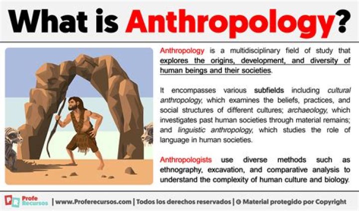 What is animism in anthropology?