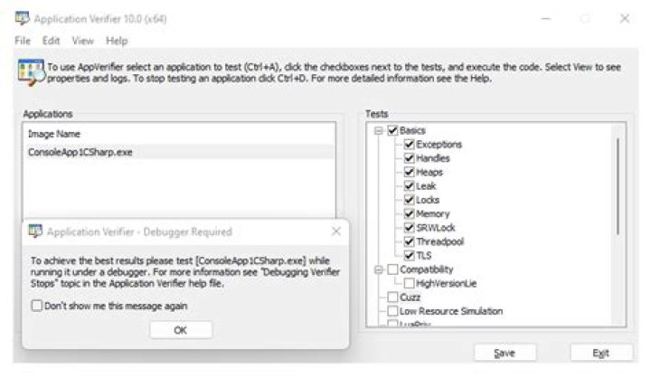 What is application verifier?