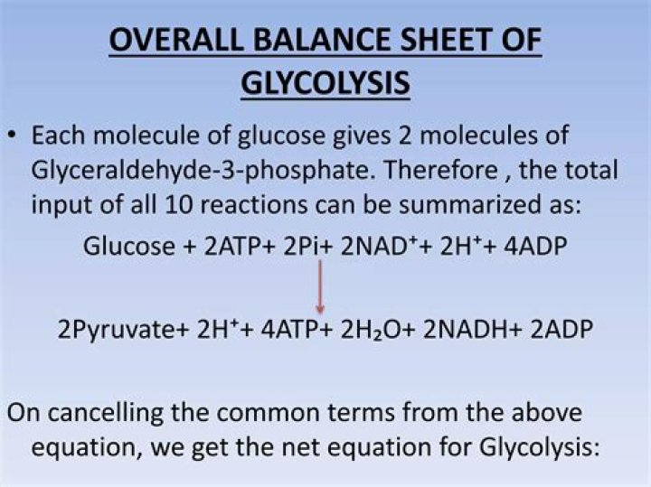 What is/are the overall function(s) of glycolysis?