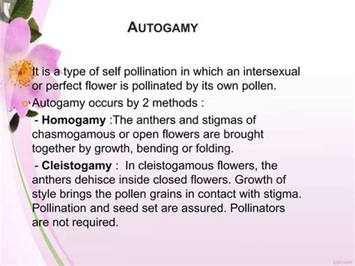 What is autogamy in biology?