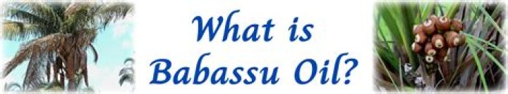 What is babassu oil?