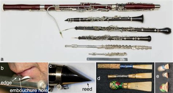 What is bassoon instrument?