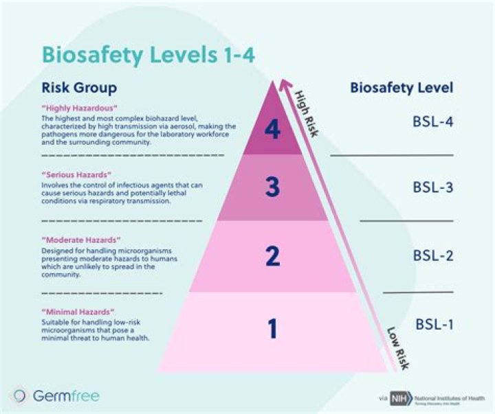 What is bsls degree?