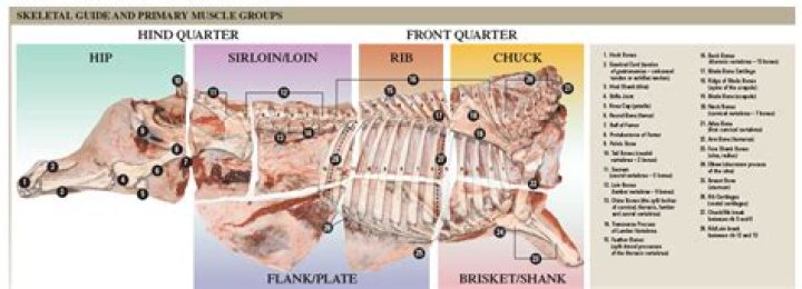 What is carcass meat?