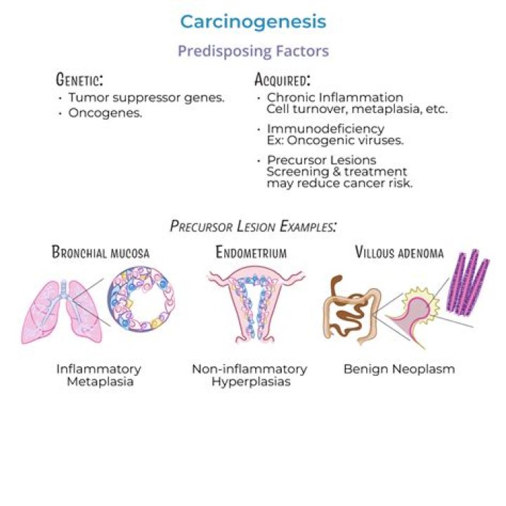 What is carcinogenesis model?