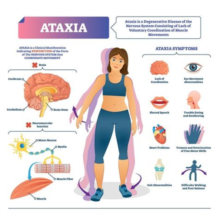 What is cerebellar ataxia?