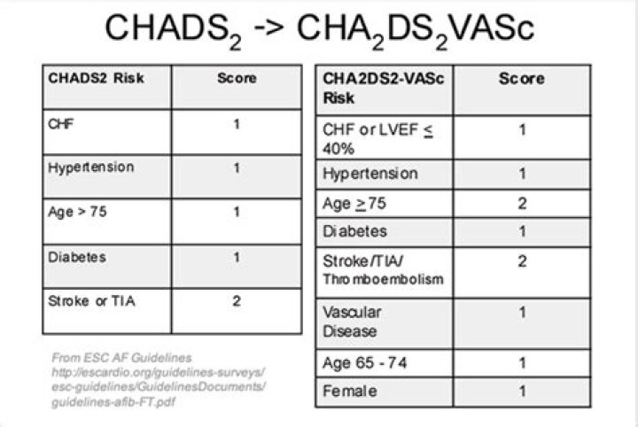 What is chads score?