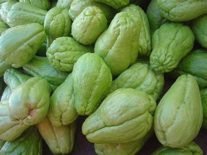 What is chocho fruit?