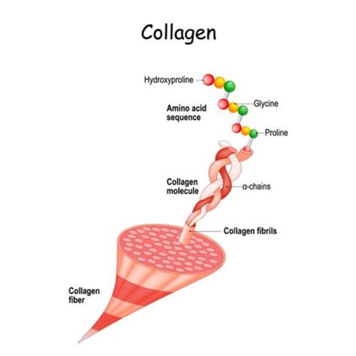 What is collagen made of?