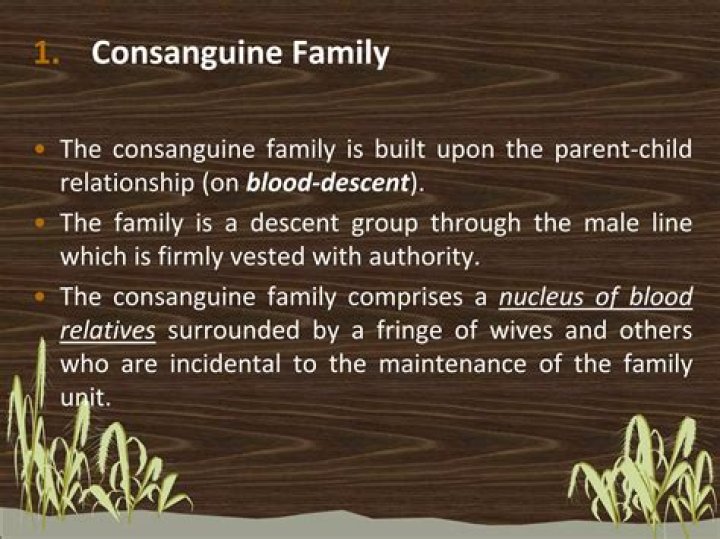 What is consanguine relationship?
