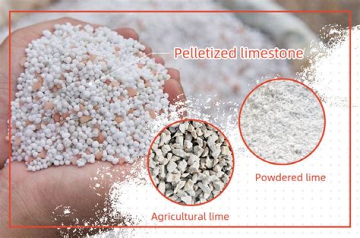 What is dolomitic lime?